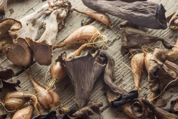 Black trumpet mushrooms (Craterellus fallax) and shallots