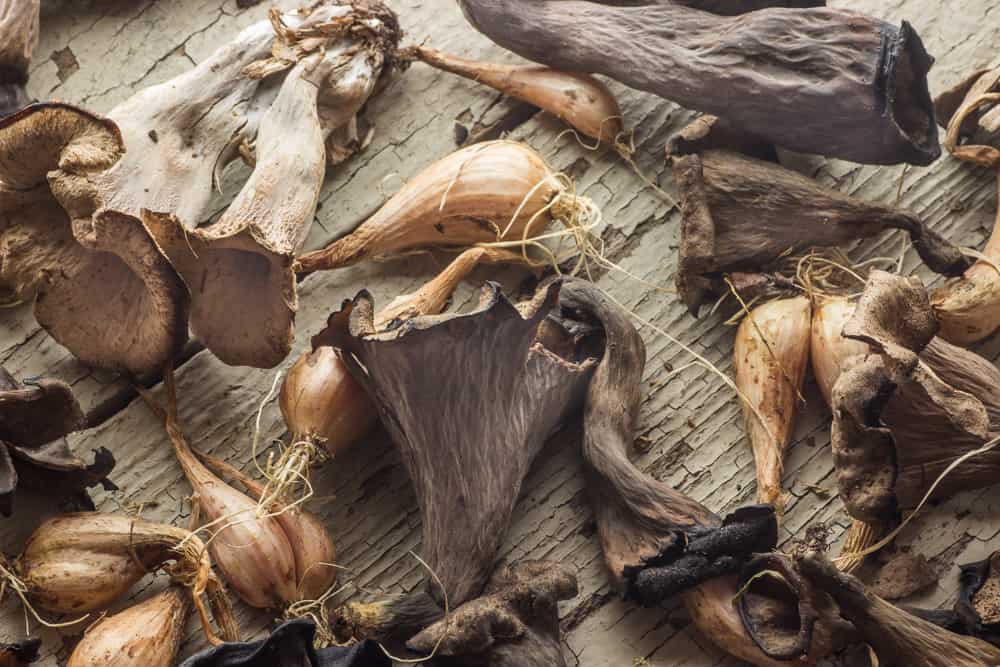 Black trumpet mushrooms (Craterellus fallax) and shallots 