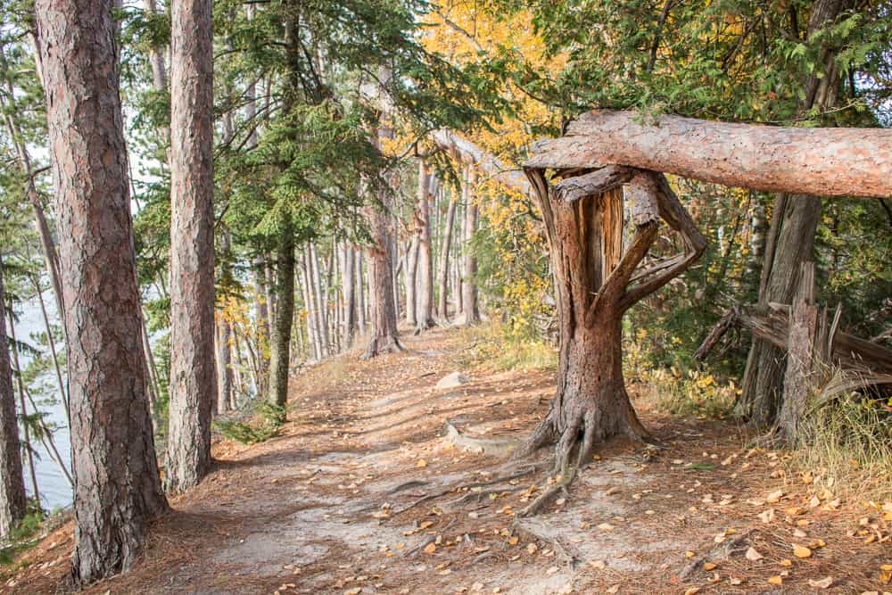 hiking on an esker in minnesota 