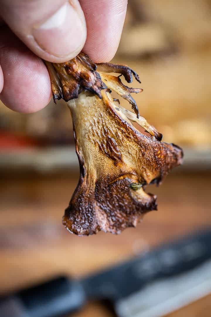 close up of roasted hen of the woods or maitake mushrooms 