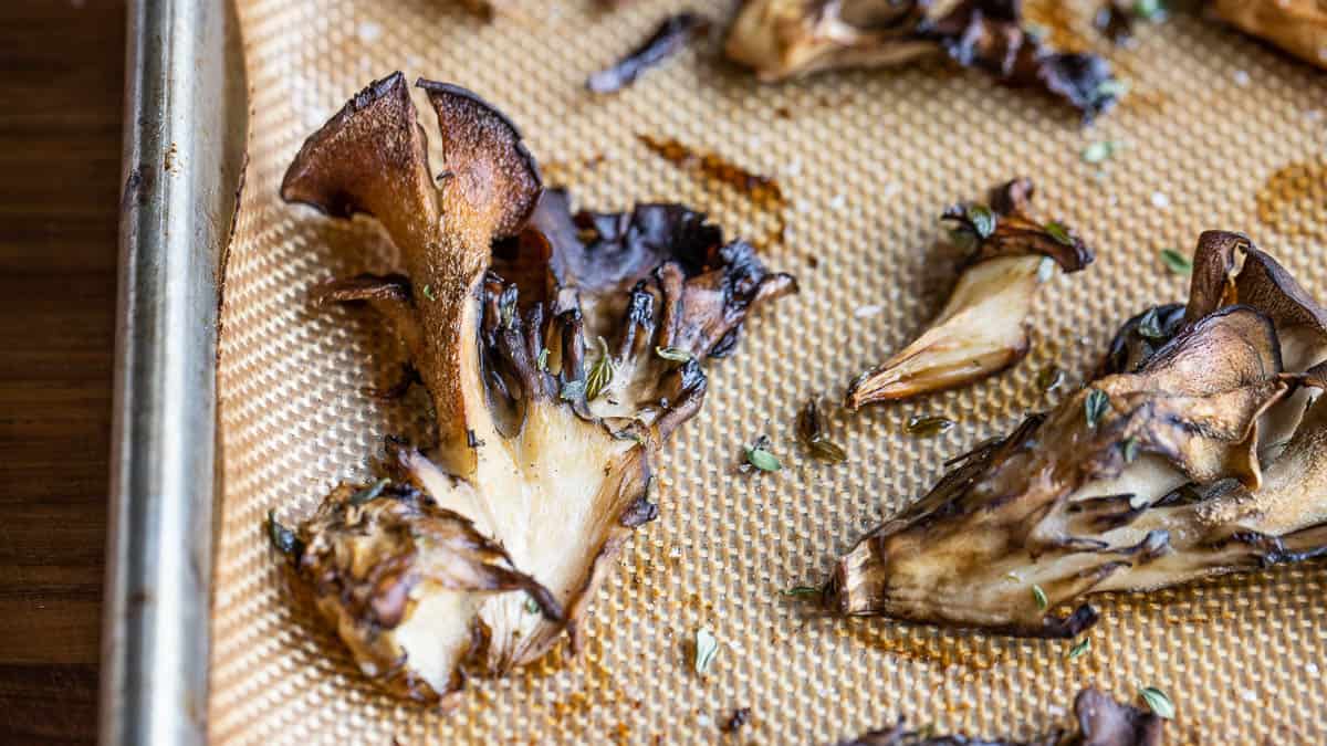 closeup of roasted hen of the woods or maitake mushrooms on a sheet tray 