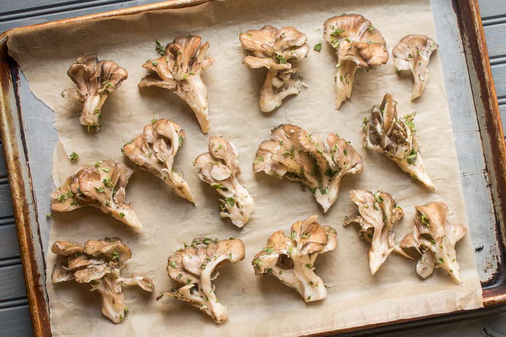 hen of the woods or maitake mushrooms seasoned on a tray 