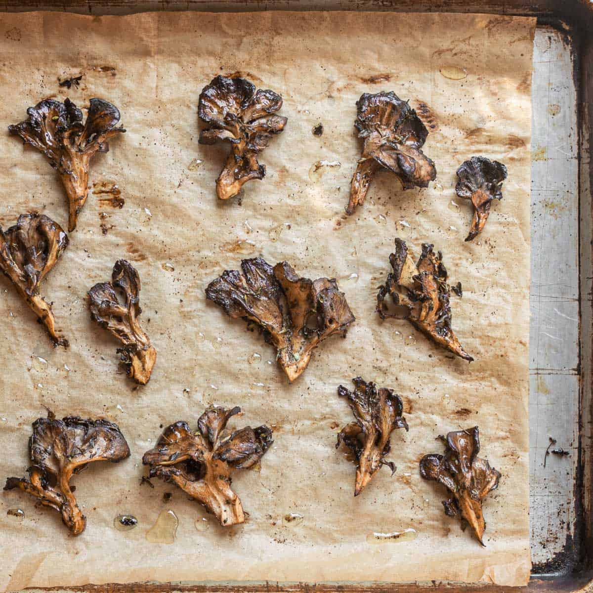 Roasted hen of the woods mushrooms or maitake on a sheet tray 