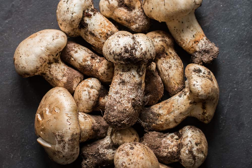 Matsutake Mushroom Miso Soup Recipe