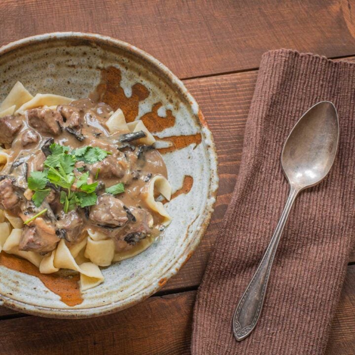Dried Wild Mushroom Stroganoff Recipe Forager Chef