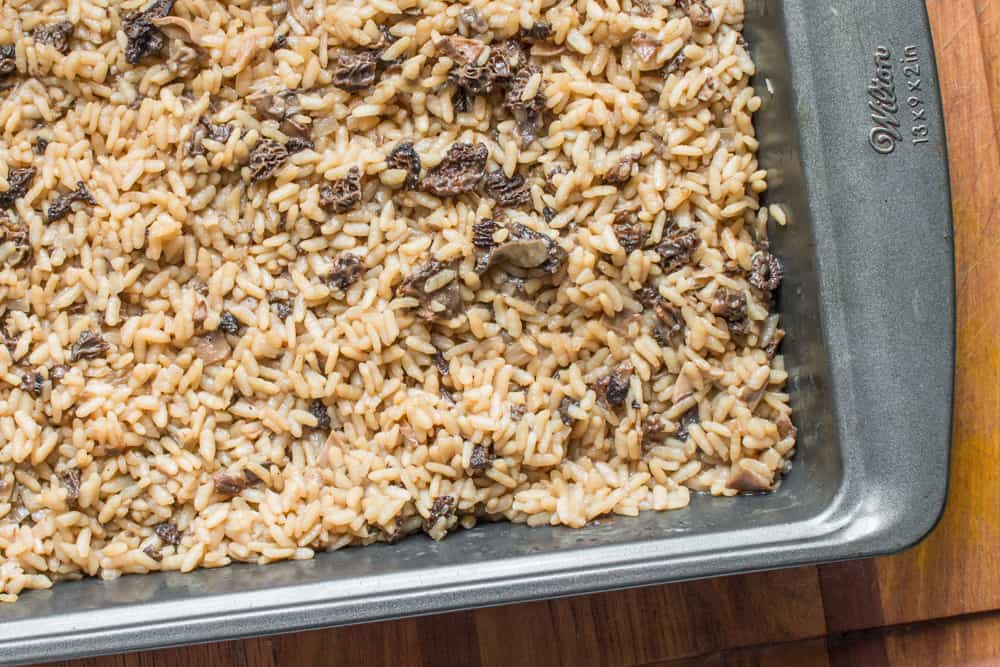 Pre-cooked dried wild mushroom risotto