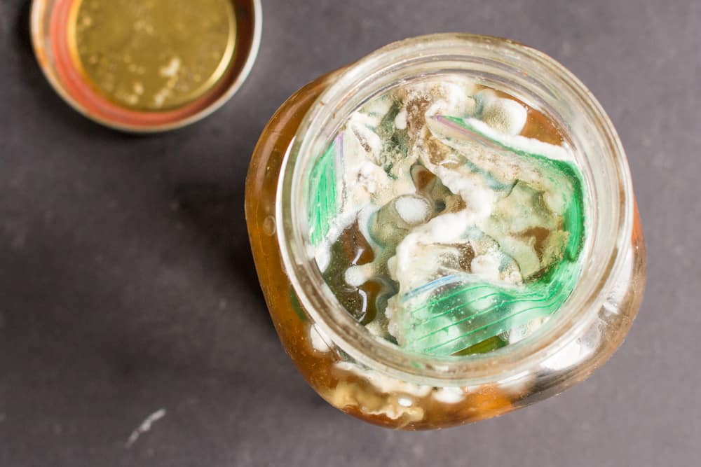 Mold on a jar of fermented mushrooms