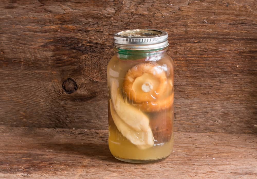 How to ferment mushrooms