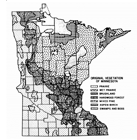 MN forests