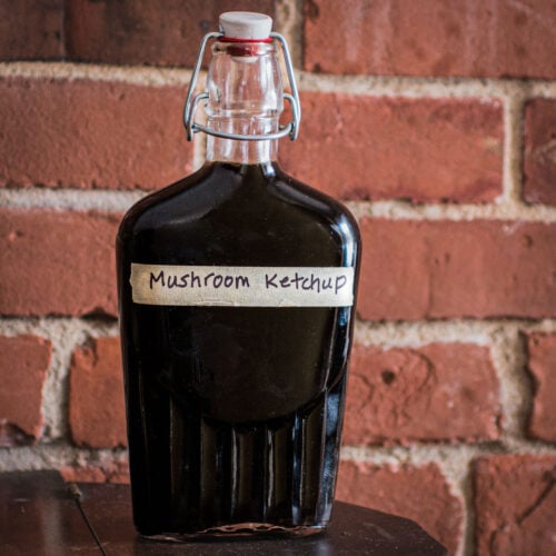 Wild Mushroom Ketchup Recipe