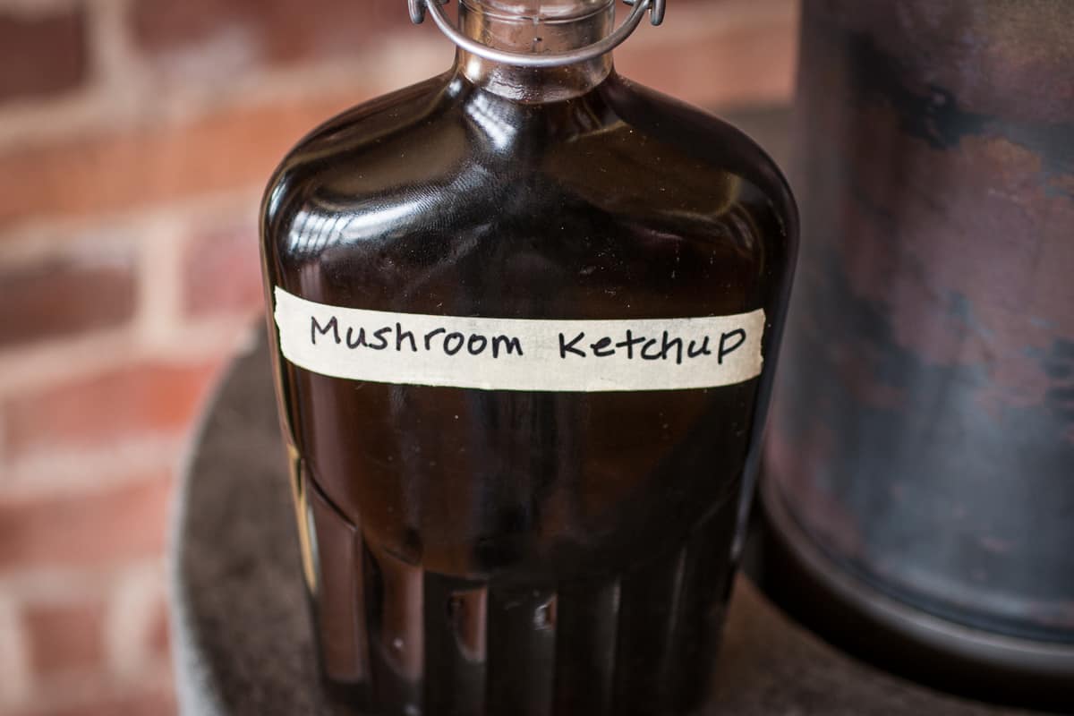 Wild mushroom ketchup recipe