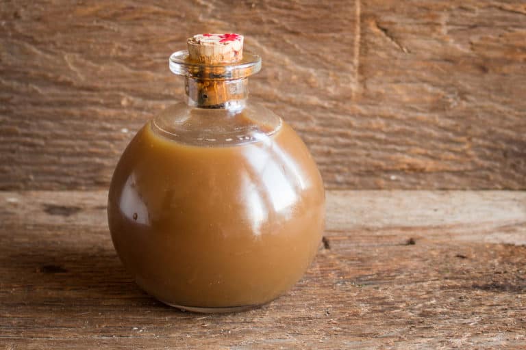 Wild Mushroom Ketchup Recipe