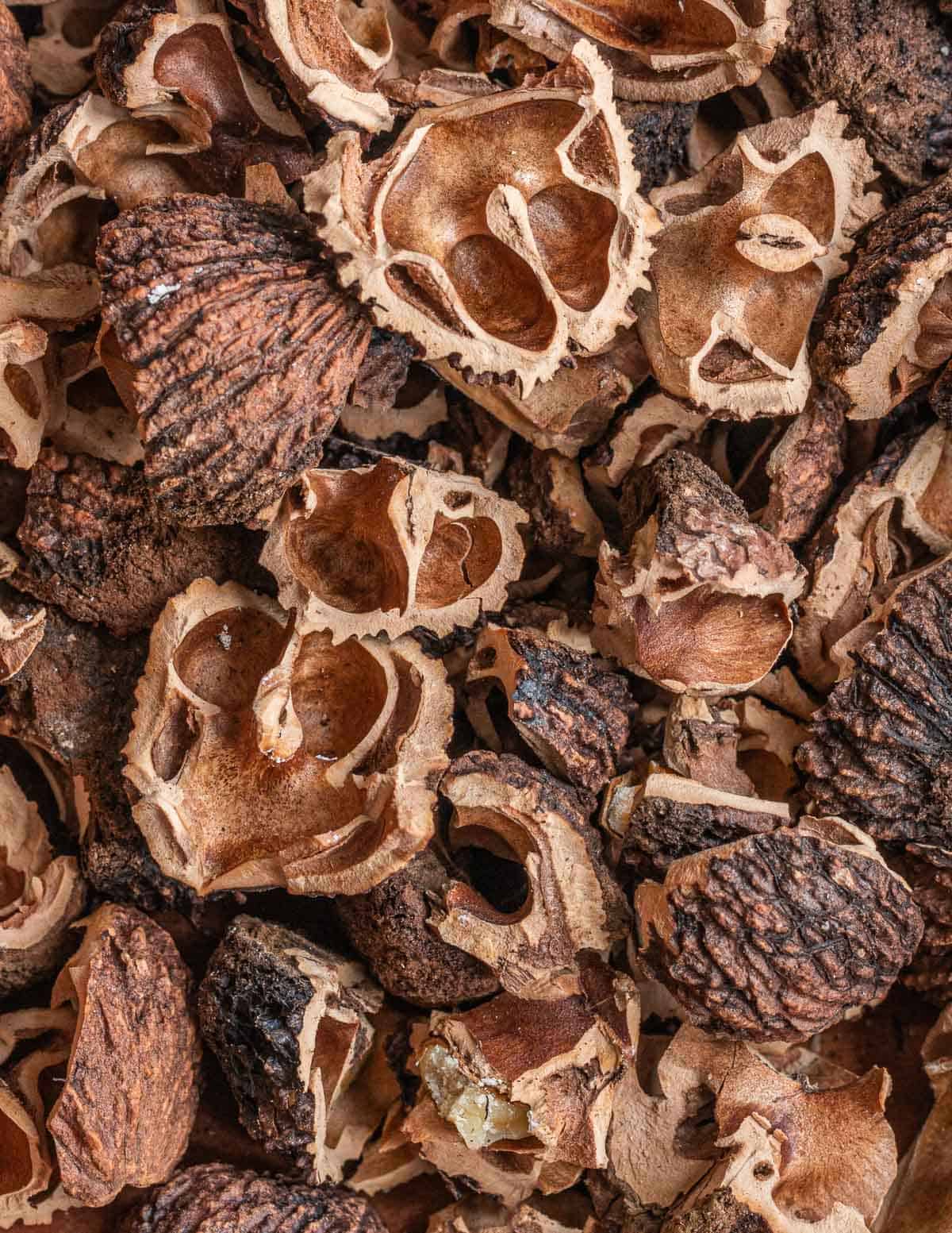 Black walnut shells 