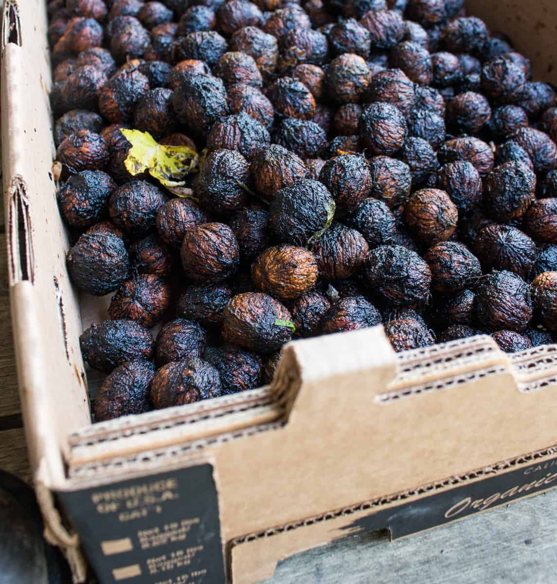 Washed black walnuts ready to be dried