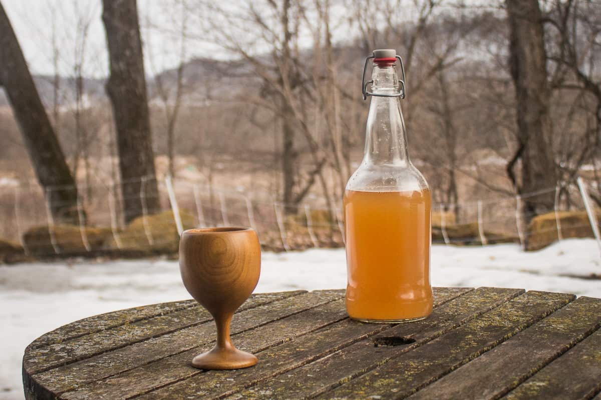 Fermented maple sap soda recipe