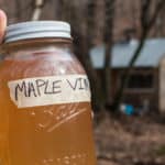 Maple Sap Vinegar Recipe