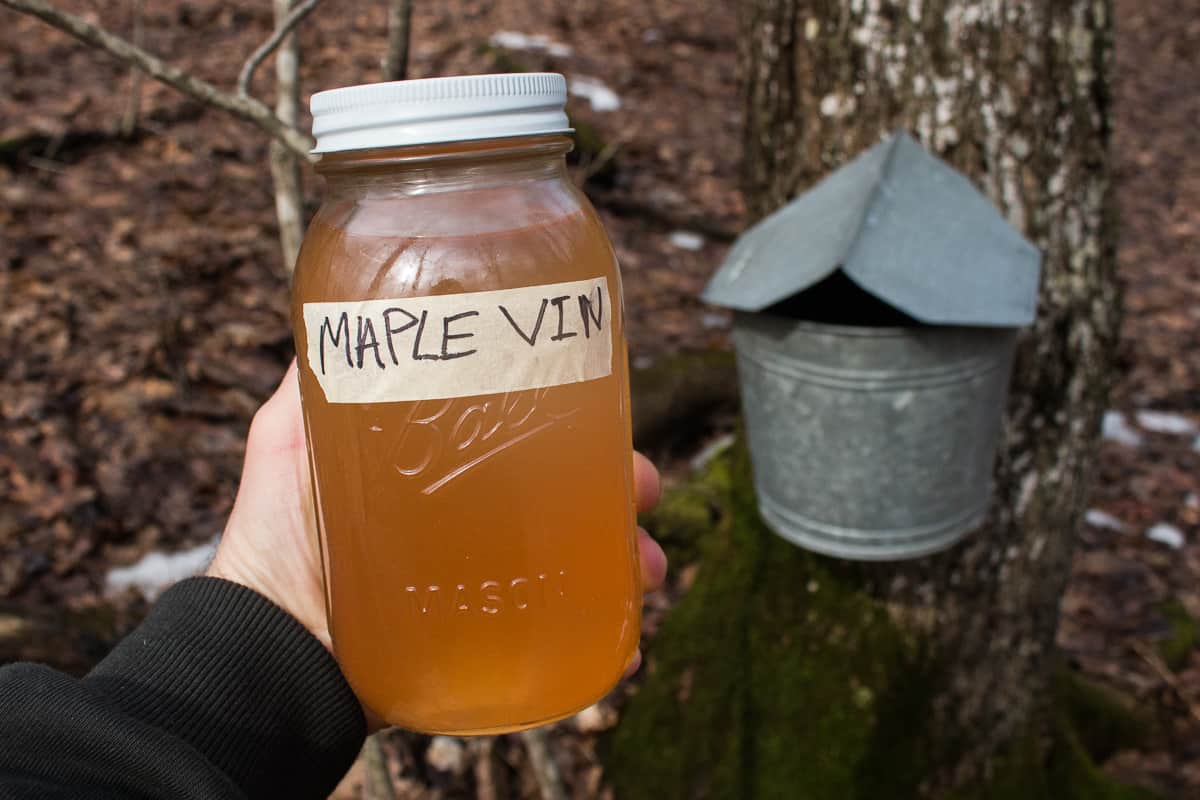 Maple Sap Vinegar Recipe
