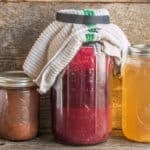 Foraged vinegars: wild plum, berry, and maple sap vinegars