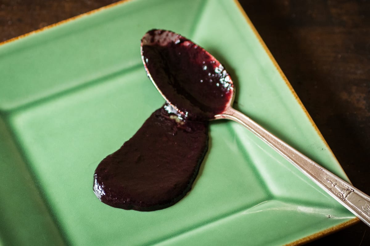 Wild grape, elderberry or aronia barbecue sauce recipe