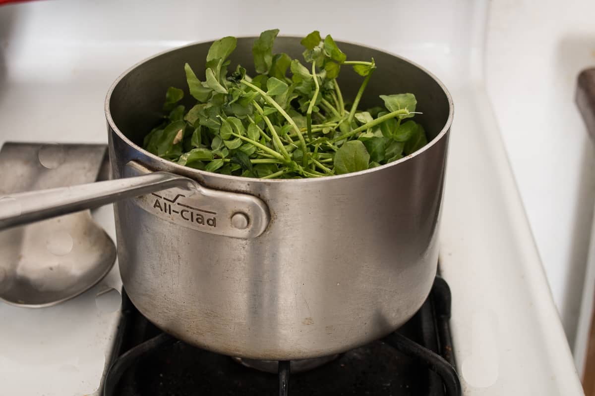 steaming watercress in a pot 