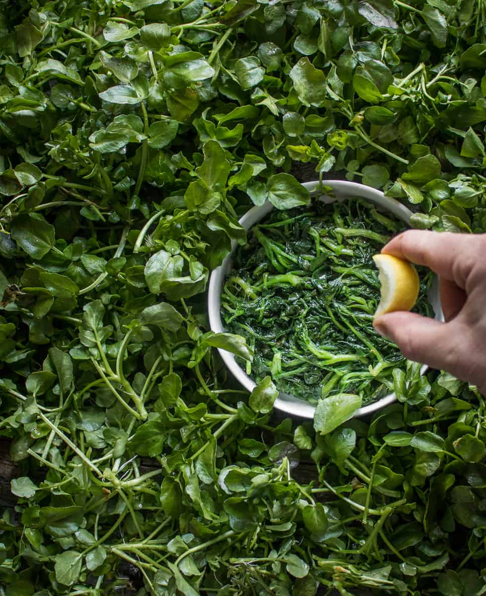 How to steam wild leafy greens recipe