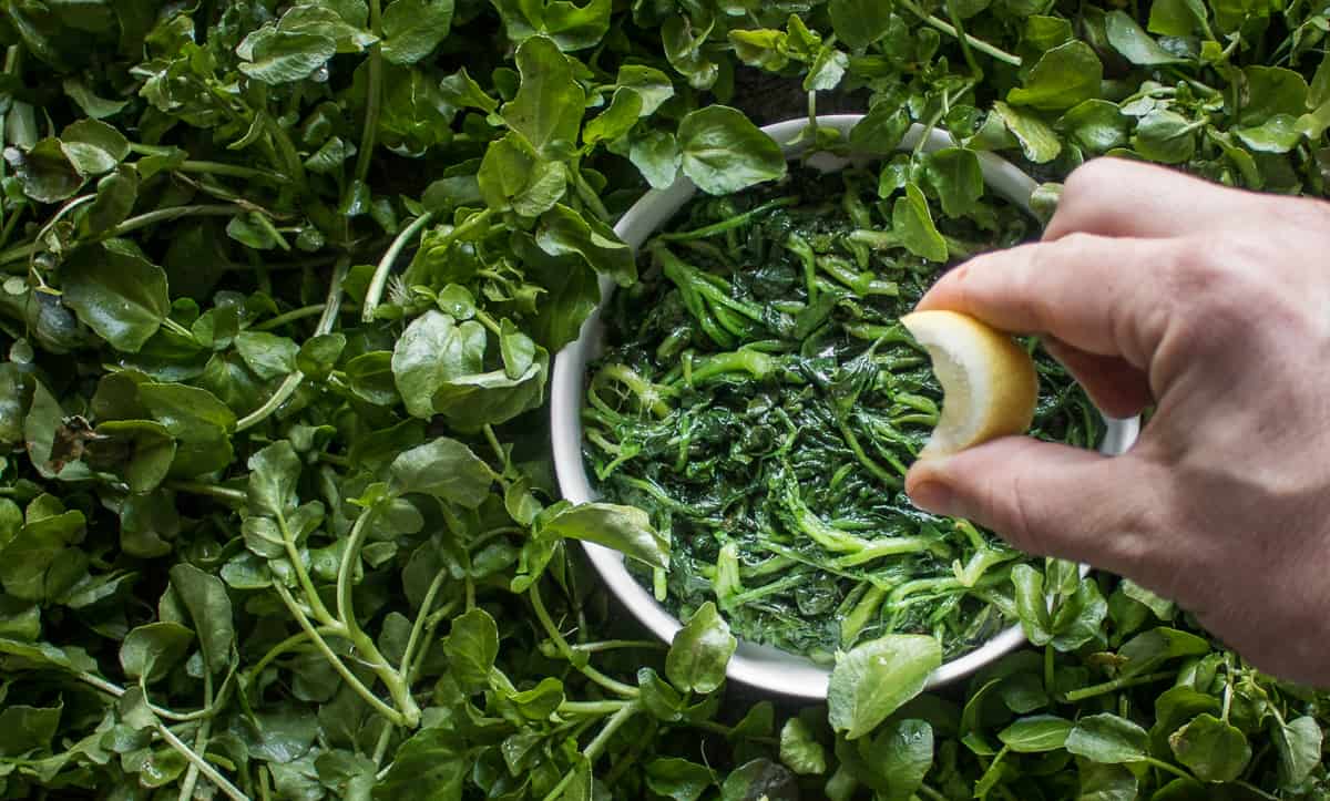 How to steam wild leafy greens recipe