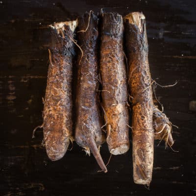 Foraged burdock root
