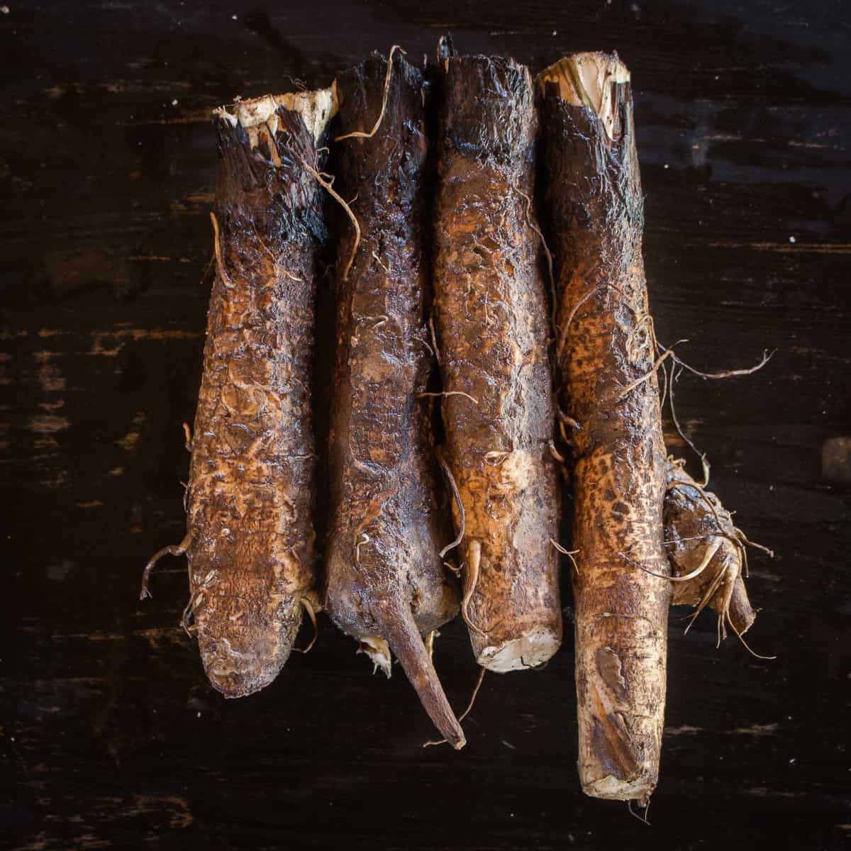 Foraged lesser burdock root or Arctium minus.