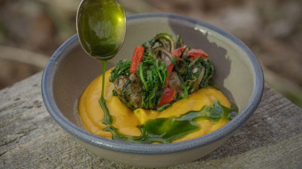 Dandelion crowns with sweet potato puree, ramp leaf oil and calabrian chili