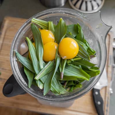 Egg yolks and ramp leaves in a blender with the lid removed.