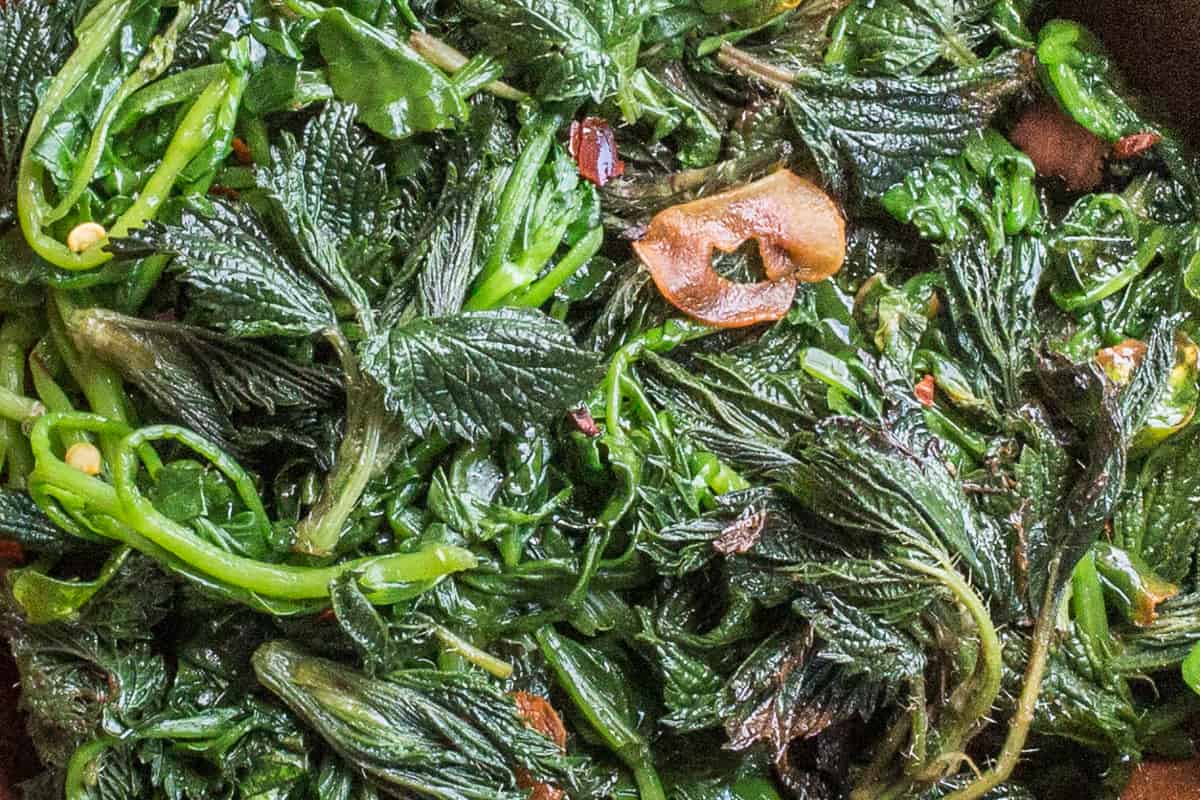 Italian foraged greens with garlic and chili