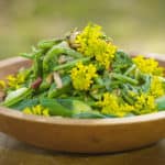 Fiddlehead, asparagus, smilax and hop shoots with dryad saddle or pheasant back mushrooms and wild mint