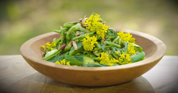 Fiddlehead, asparagus, smilax and hop shoots with dryad saddle or pheasant back mushrooms and wild mint 