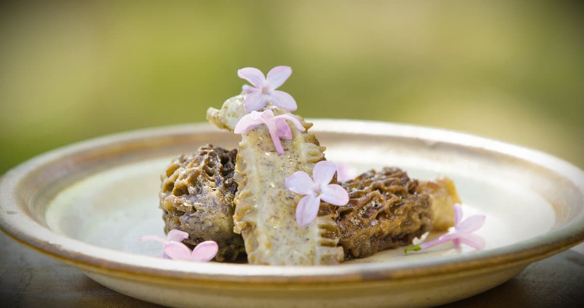 Morel mushrooms stuffed with morel cream sauce