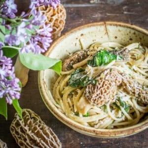Morel pasta with ramps recipe