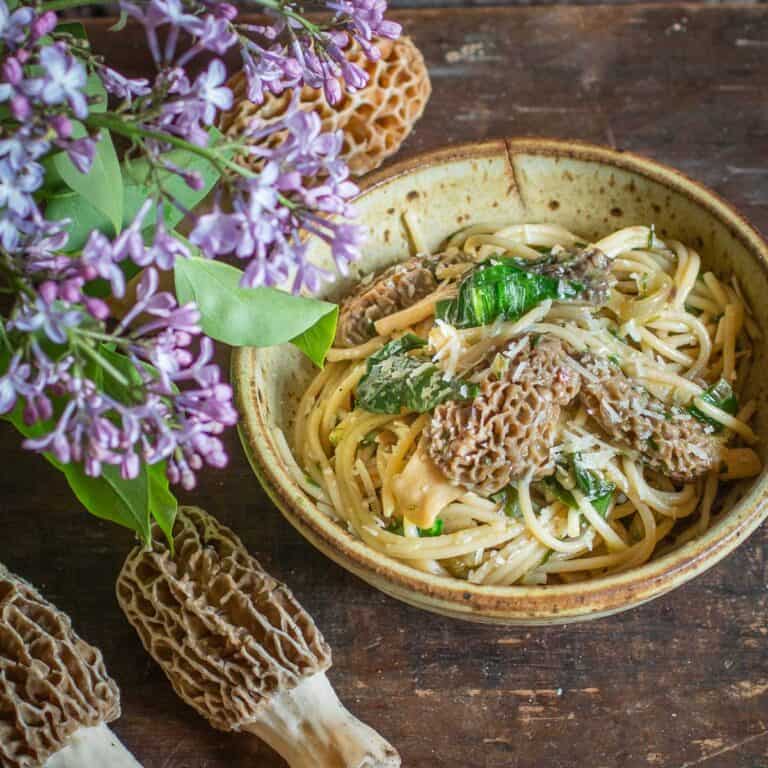 Ramp and Morel Mushroom Spaghetti Recipe Forager Chef