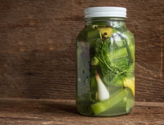 Fermented Japanese knotweed dill pickles recipe 