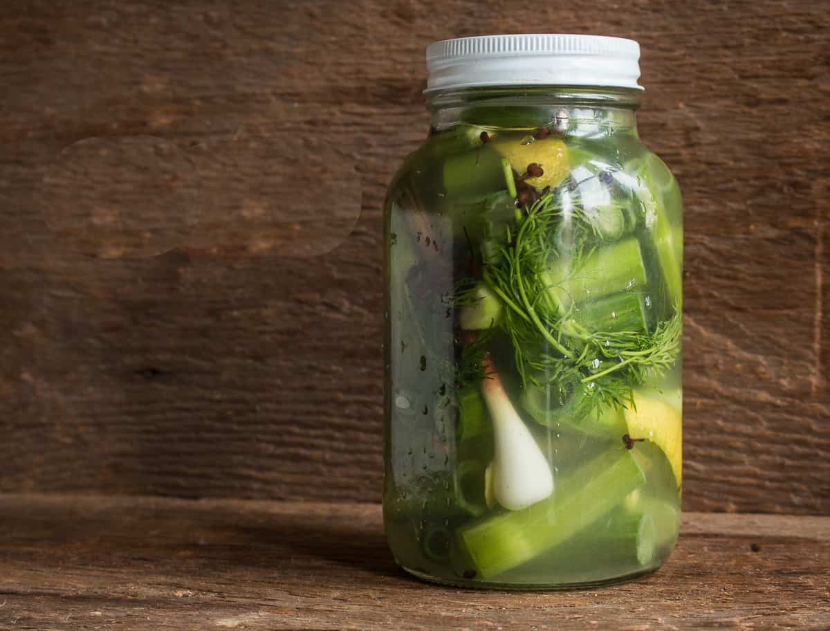 Fermented Japanese knotweed dill pickles recipe