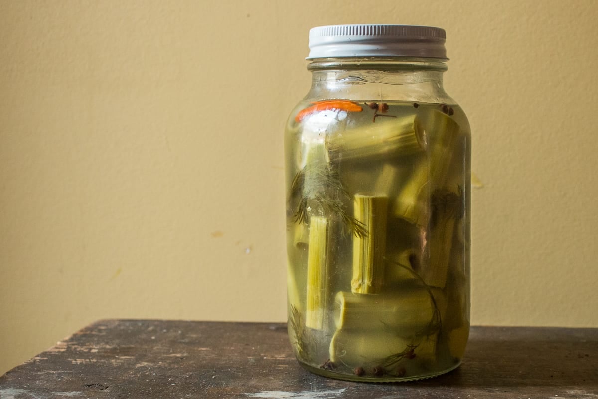 Brine fermented japanese knotweed recipe