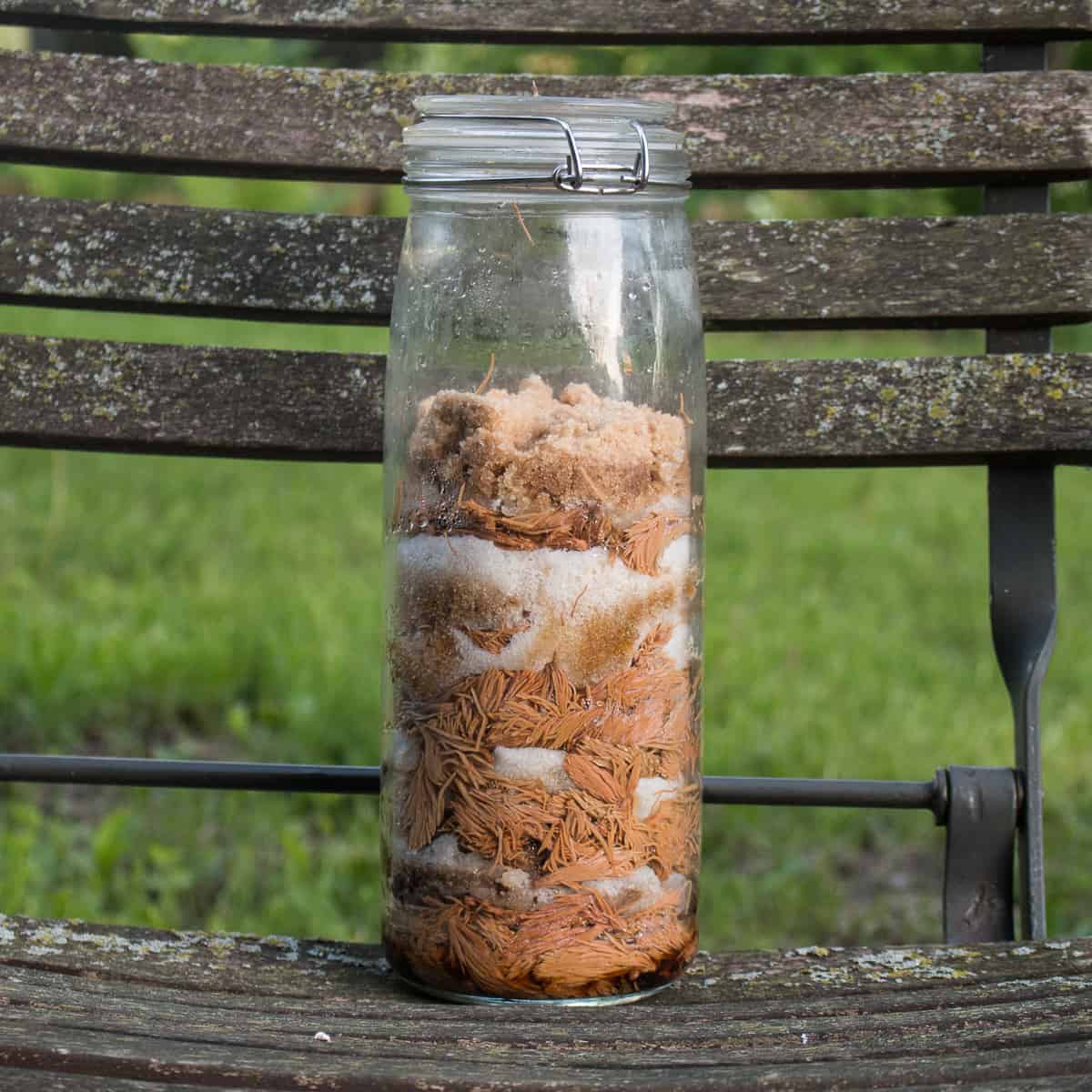 10oz Small Glass Storage Jars With Cork Lids And Spoons Yogurt Containers  For Pa