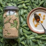 Traditional spruce tip syrup recipe