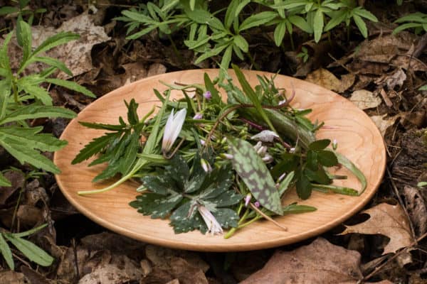 A salad of foraged spring greens and flowers 