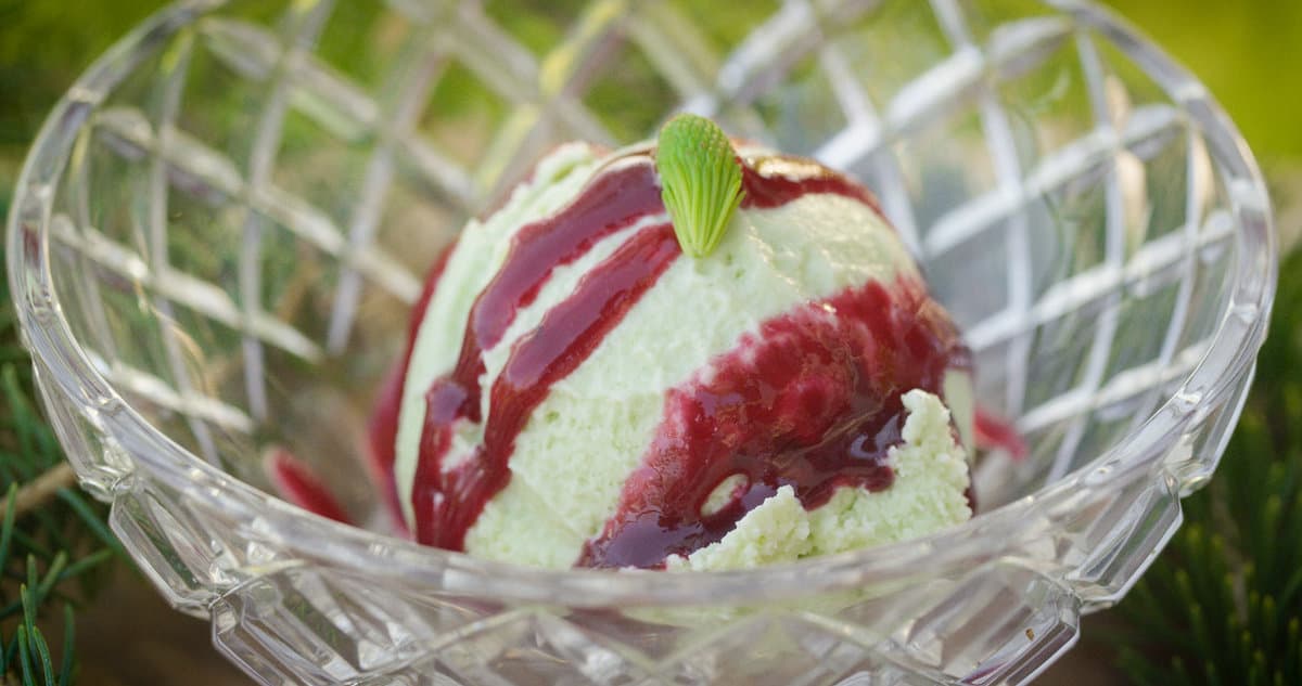 Spruce tip ice cream recipe with chokecherry sauce by chef Alan Bergo