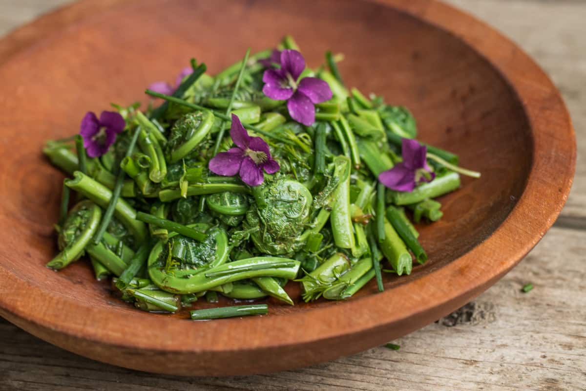 Foraged ostrich fiddlehead fern salad recipe