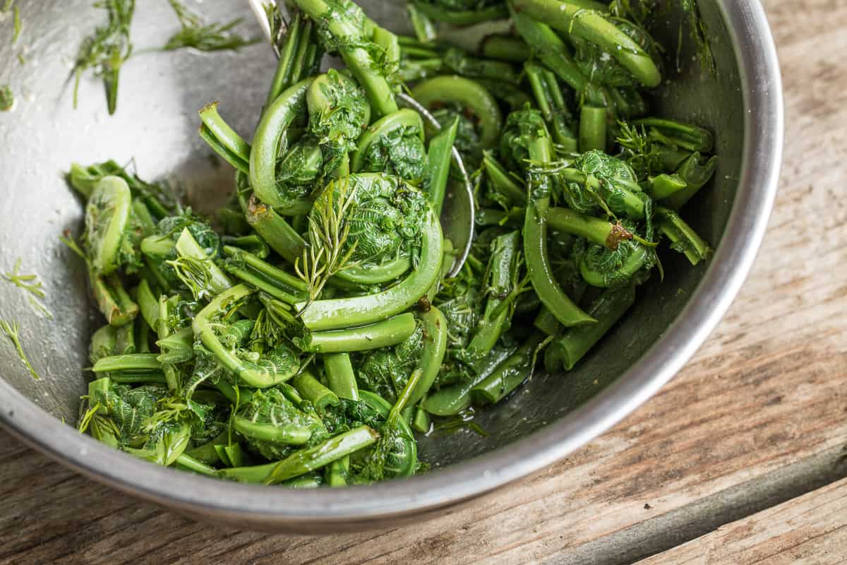 Foraged ostrich fiddlehead fern salad recipe