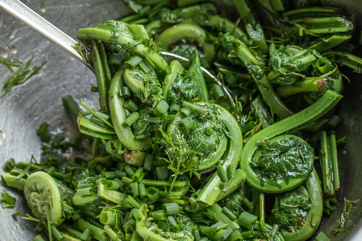 Fiddlehead salad recipe with olive oil lemon and herbs