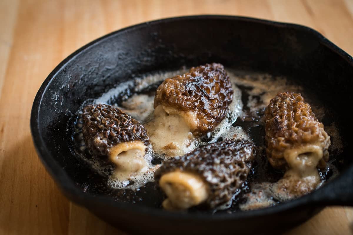 Morels stuffed with dried morel mushroom sauce