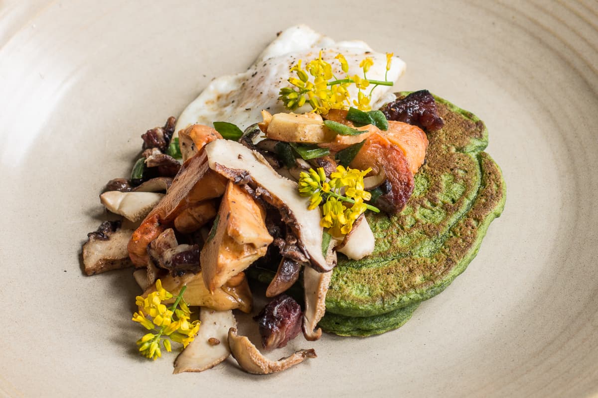 Savory nettle pancakes with dryad saddle, chicken of the woods, and venison bacon