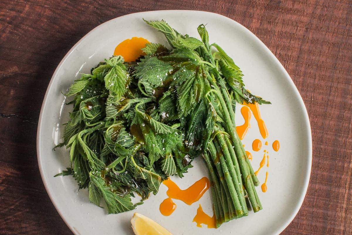 Steamed wood nettle shoots with acorn oil recipe