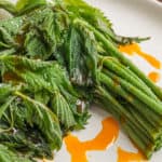 Steamed wood nettle shoots with acorn oil recipe